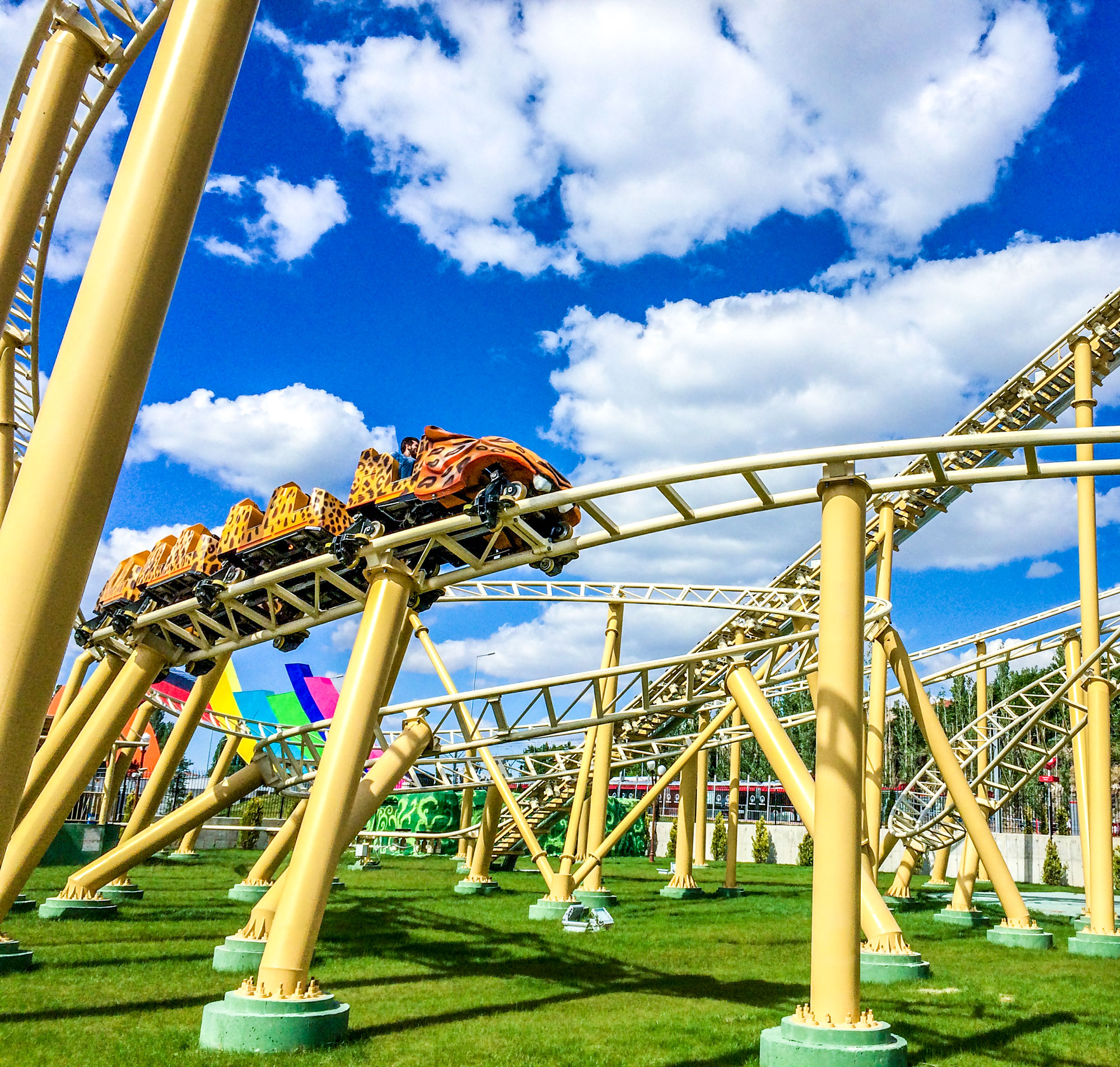 FAMILY SAFARI COASTER Fabbri Group